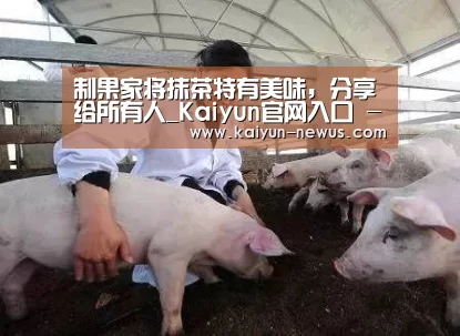 制果家将抹茶特有美味,分享给所有人_Kaiyun官网入口 - 首页通道(图2) 开云